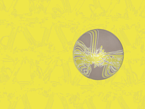 Master of Arts en Responsible Fashion Design - IED Milano
