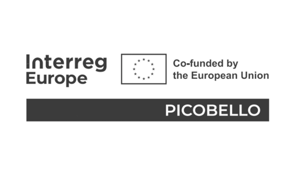 Logo del proyecto Picobello