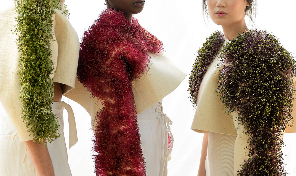 Diseño de Moda y Estilismo - IED